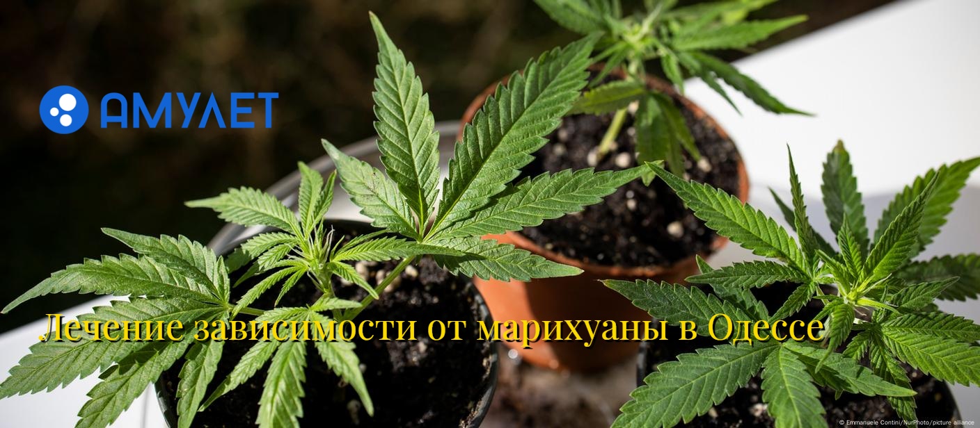 Лечение зависимости от марихуаны