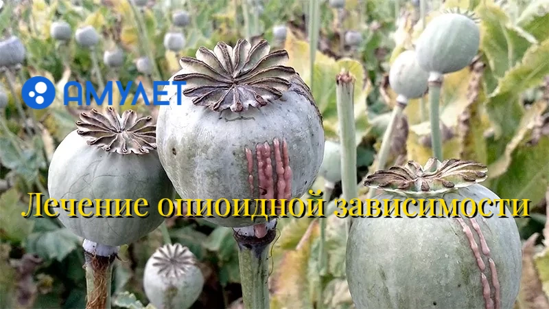Лечение опиоидной зависимости