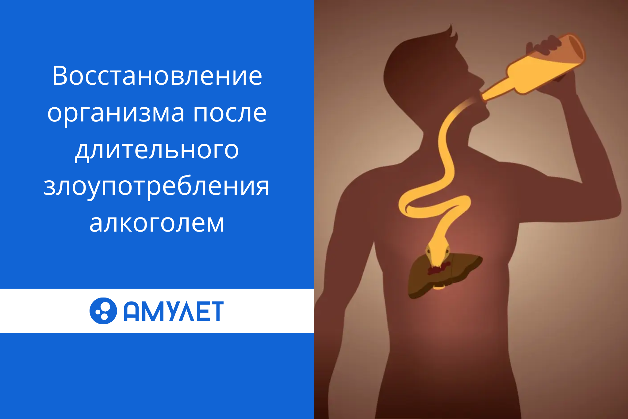 Восстановление организма после длительного злоупотребления алкоголем