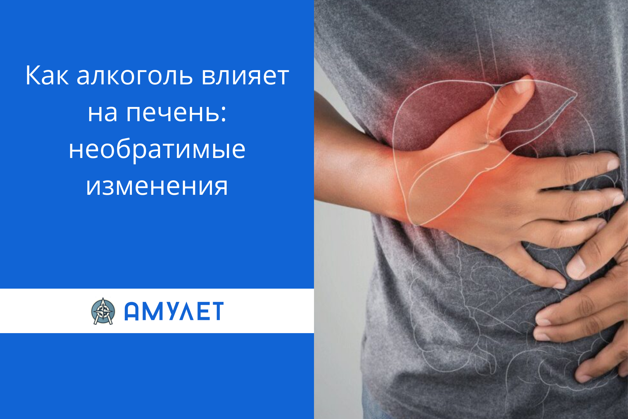 Как алкоголь влияет на печень: необратимые изменения